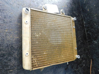 2006 Polaris Sportsman 500 x2 (2up) EFI Radiator