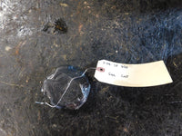 2009 Polaris Sportsman 850 Gas Cap