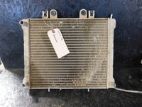 2002 Polaris Sportsman 700 Radiator