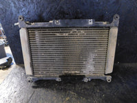 2004 Yamaha Rhino 660 Radiator and Fan