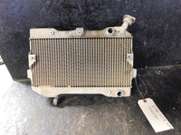 2006 Suzuki LTR 450 Radiator