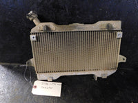 2006 Suzuki LTR 450 Radiator