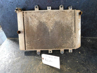 1-09 grizz550 Radiator