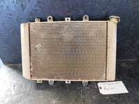 1-09 grizz550 Radiator