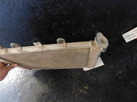 1-09 grizz550 Radiator