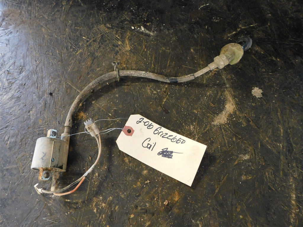2006 Yamaha Grizzly 660 Coil