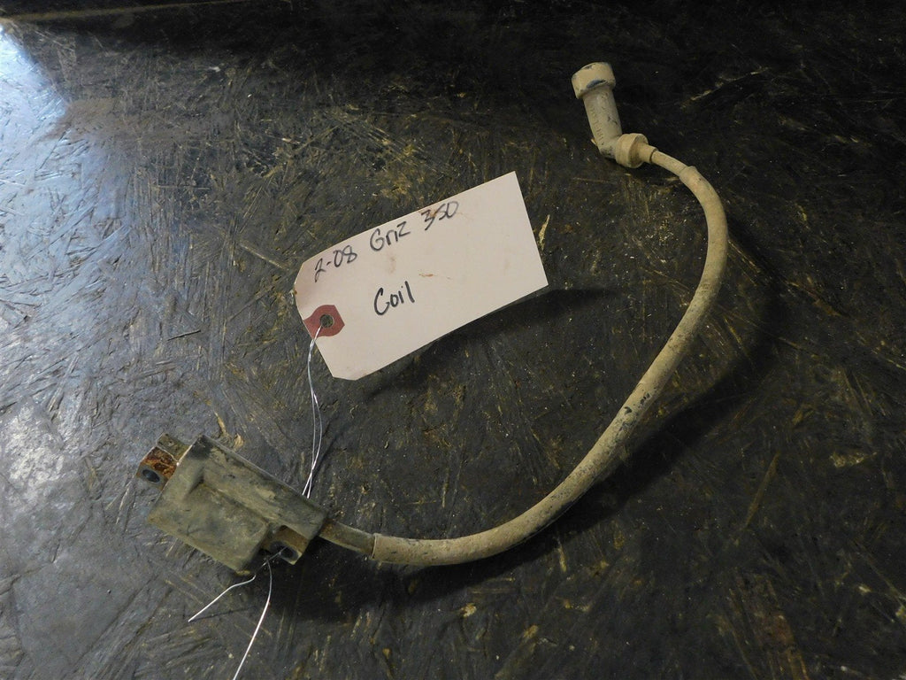 2008 Yamaha Grizzly 350 Coil