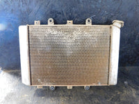 2009 Yamaha Grizzly 550 4WD Radiator