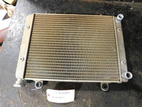 2010 Polaris Ranger 800 Crew Cab Radiator