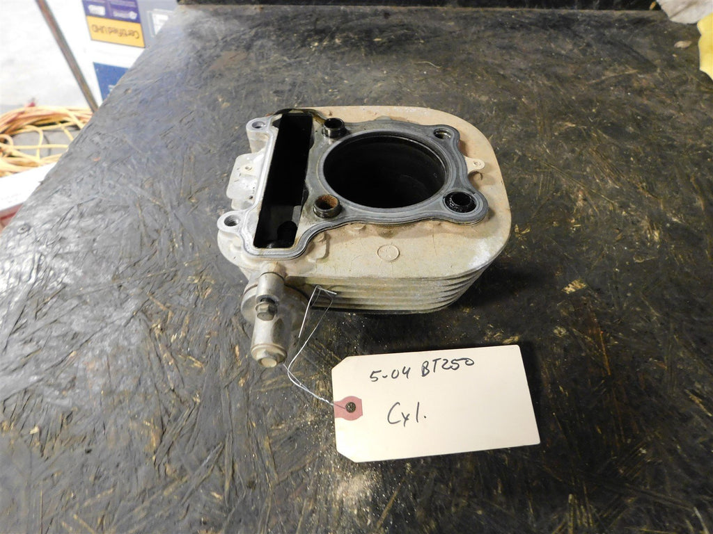 2004 Yamaha Bear Tracker 250 Cylinder CORE