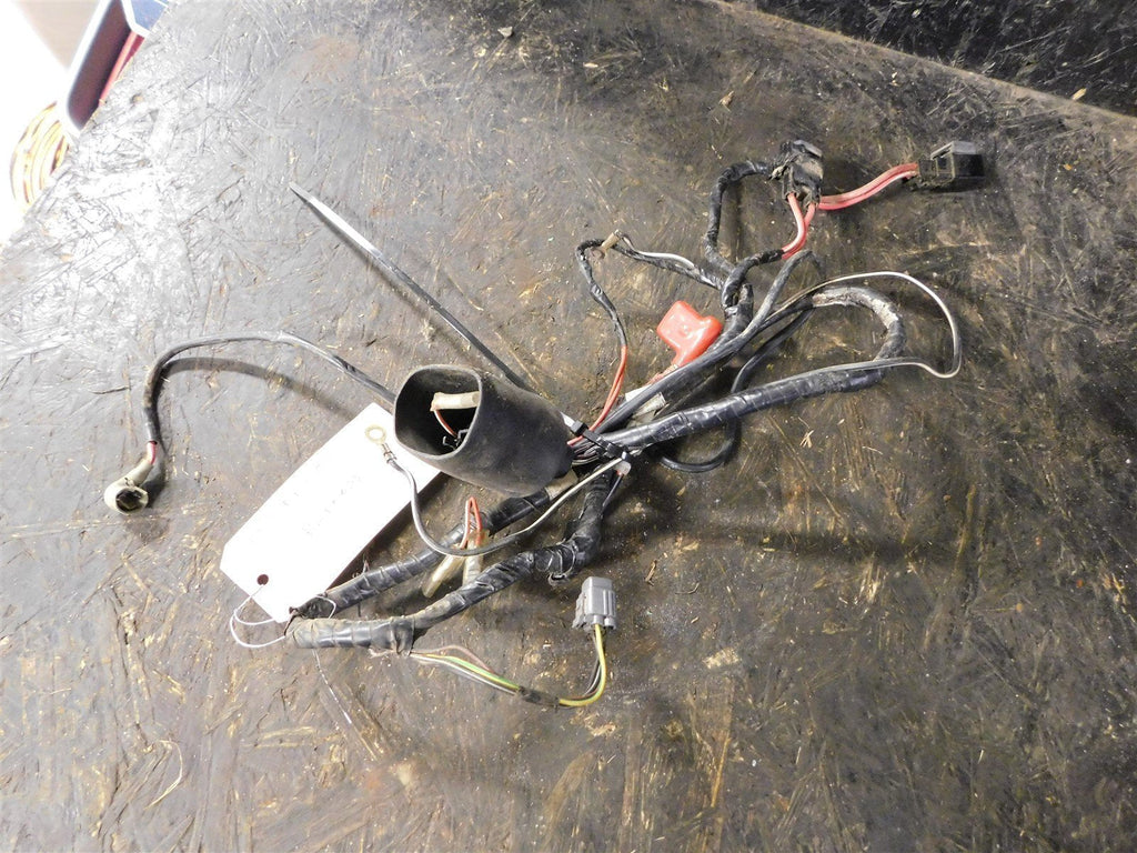 2005 Kawasaki KFX 80 Wiring Harness