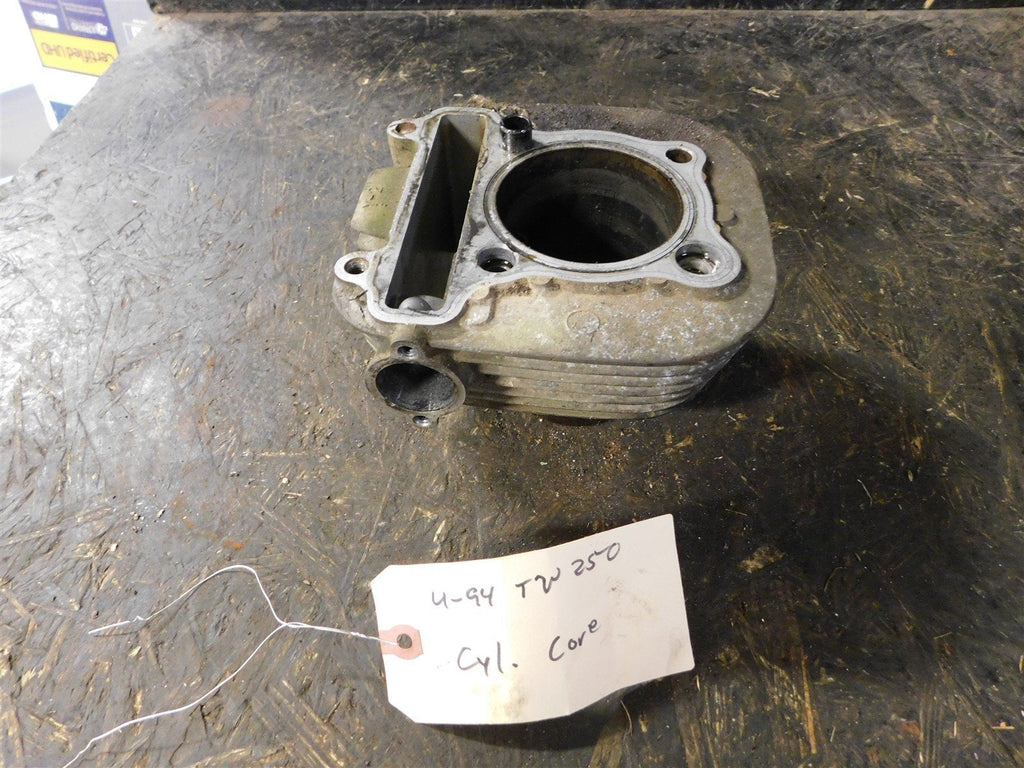 1994 Yamaha Timber Wolf 250 Cylinder CORE