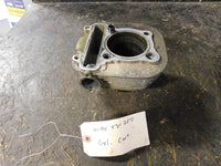 1994 Yamaha Timber Wolf 250 Cylinder CORE