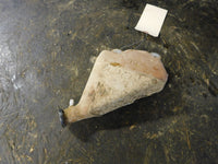 2009 Yamaha Grizzly 700 EPS Coolant Tank