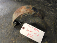 2002 Polaris Sportsman 90 Rear Skid Plate