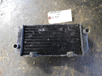 1986 Honda ATC 250r Left Radiator #1