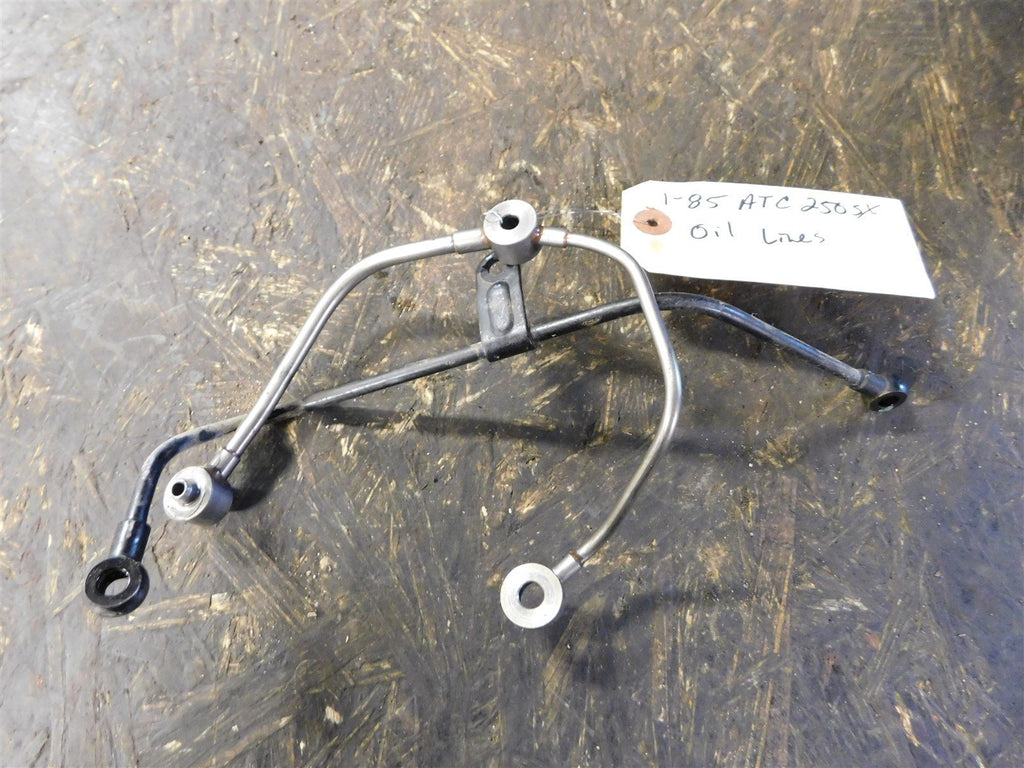 1985 Honda ATC 250sx Oil Lines