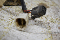 1995 Yamaha Timberwolf 250 CDI