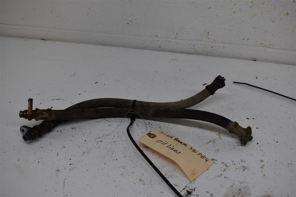 2004 Honda Rancher 350 FE Oil Lines