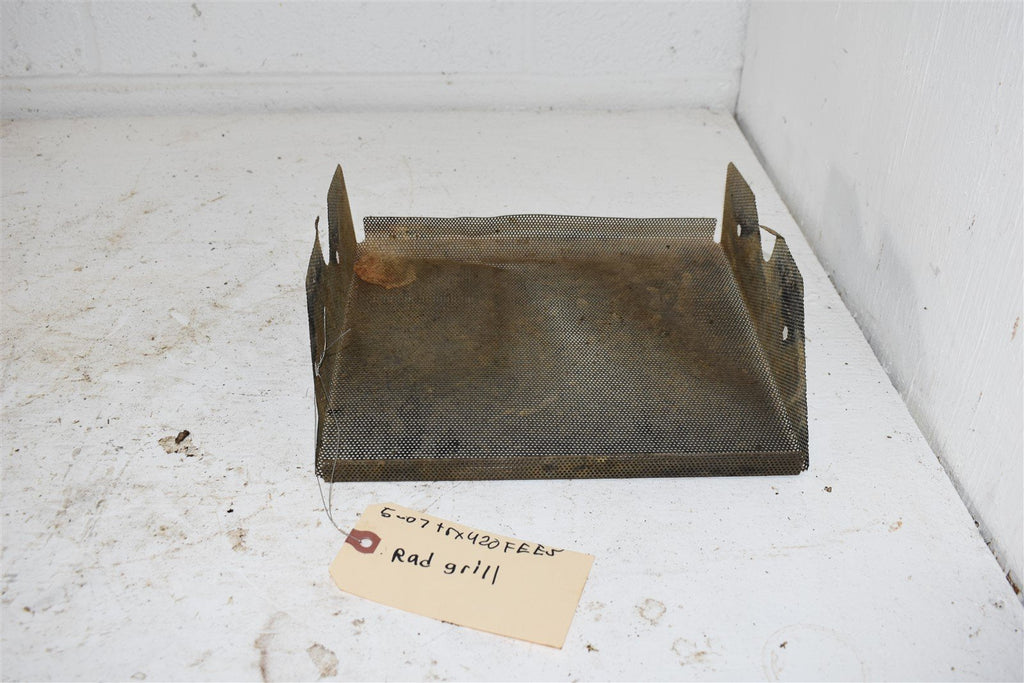 2007 Honda TRX 420FE ES Radiator Grill Mesh