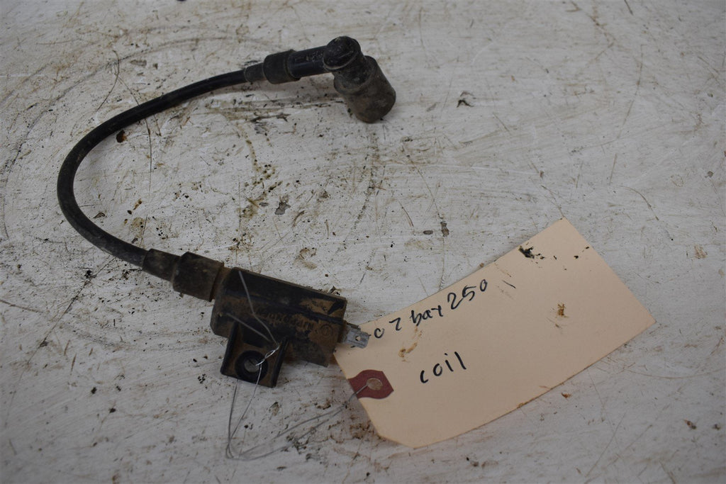 2007 Kawasaki Bayou 250 Coil