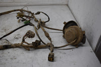 2005 Suzuki Ozark 250 Wiring Harness 36610-05G20