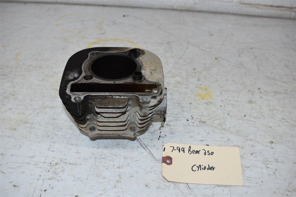 1999 Yamaha Bear Tracker 250 Cylinder CORE 4BD-11310-01-00