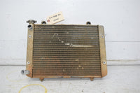 2007 Polaris Ranger 700 Radiator 1240286