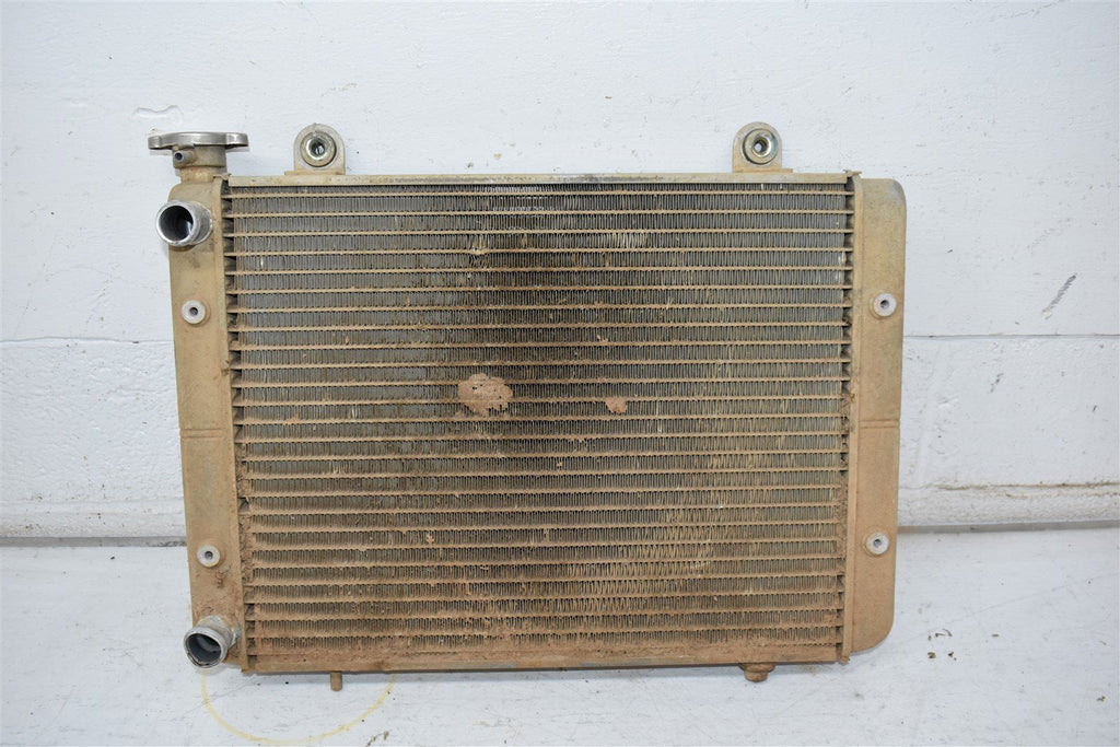 2010 Polaris Ranger 800 Crew Cab Radiator 1240385