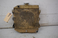 2008 Honda TRX 420 FM Radiator 19010-HP5-601