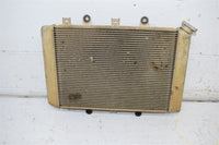 2007 Yamaha Grizzly 700 EPS  Radiator 3B4-1240A-00-00