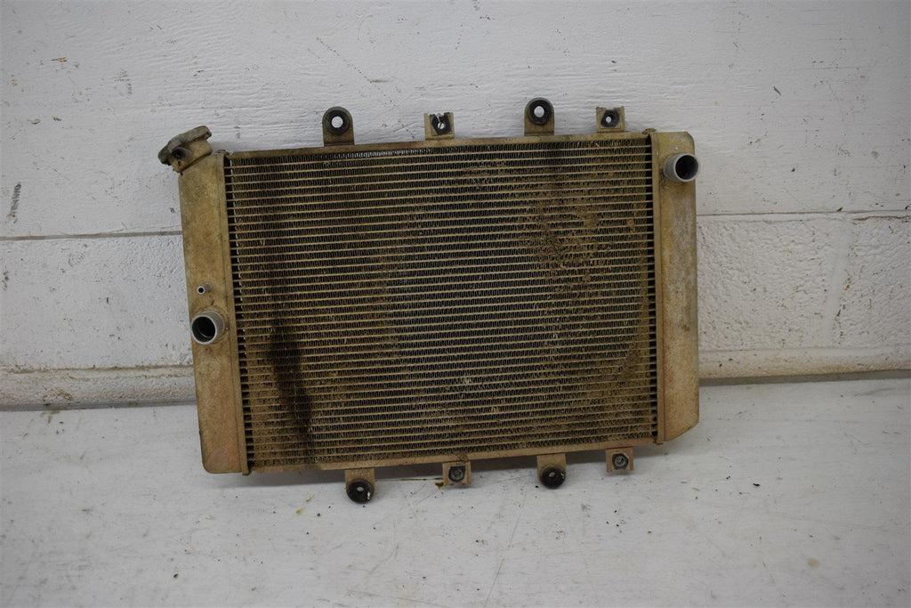 2007 Yamaha Grizzly 700 EPS Radiator 3B4-1240A-00-00