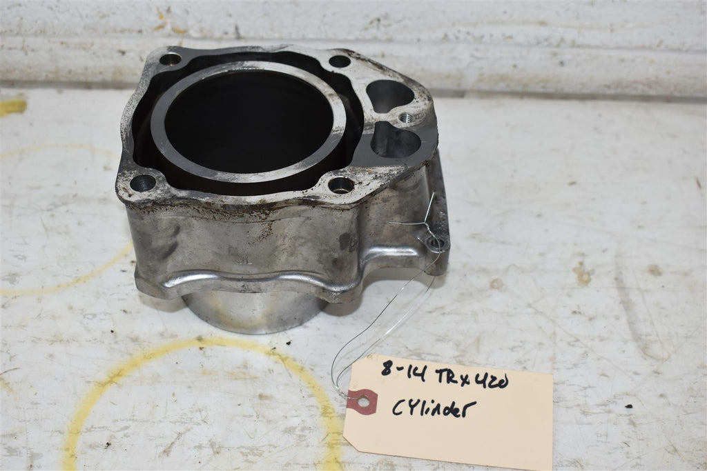 2014 Honda TRX 420FM Cylinder 12100-HP7-A00