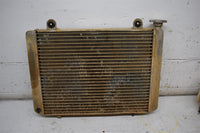 2009 Polaris Ranger 700 Radiator 1240385