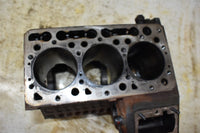 2009 Kubota RTV 900 Block