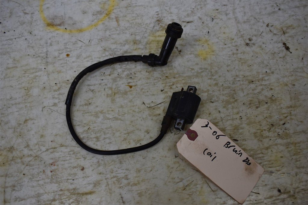 2006 Yamaha Bruin 250 Coil 4KJ-82310-10-00