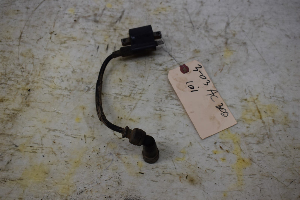 2003 Arctic Cat 300 2x4 Coil 3530-012