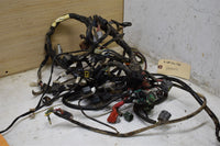 2009 Yamaha Grizzly 550 4x4 FI EPS Hunter Wiring harness 34D-82590-00-00