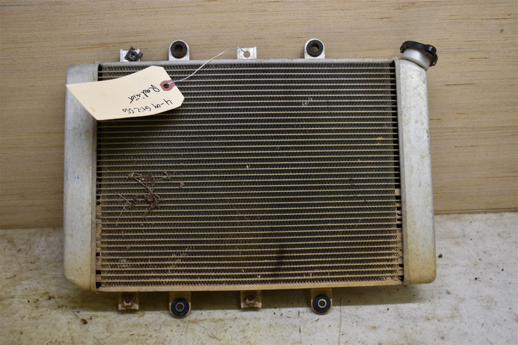 2009 Yamaha Grizzly 550 4x4 FI EPS Hunter Radiator 28P-1240A-00-00