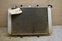 2009 Yamaha Grizzly 550 4x4 FI EPS Hunter Radiator 28P-1240A-00-00