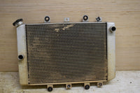 2009 Yamaha Grizzly 550 4x4 FI EPS Hunter Radiator 28P-1240A-00-00