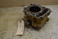 2009 Yamaha Grizzly 550 4x4 FI EPS Hunter Cylinder-CORE 28P-11311-00-00