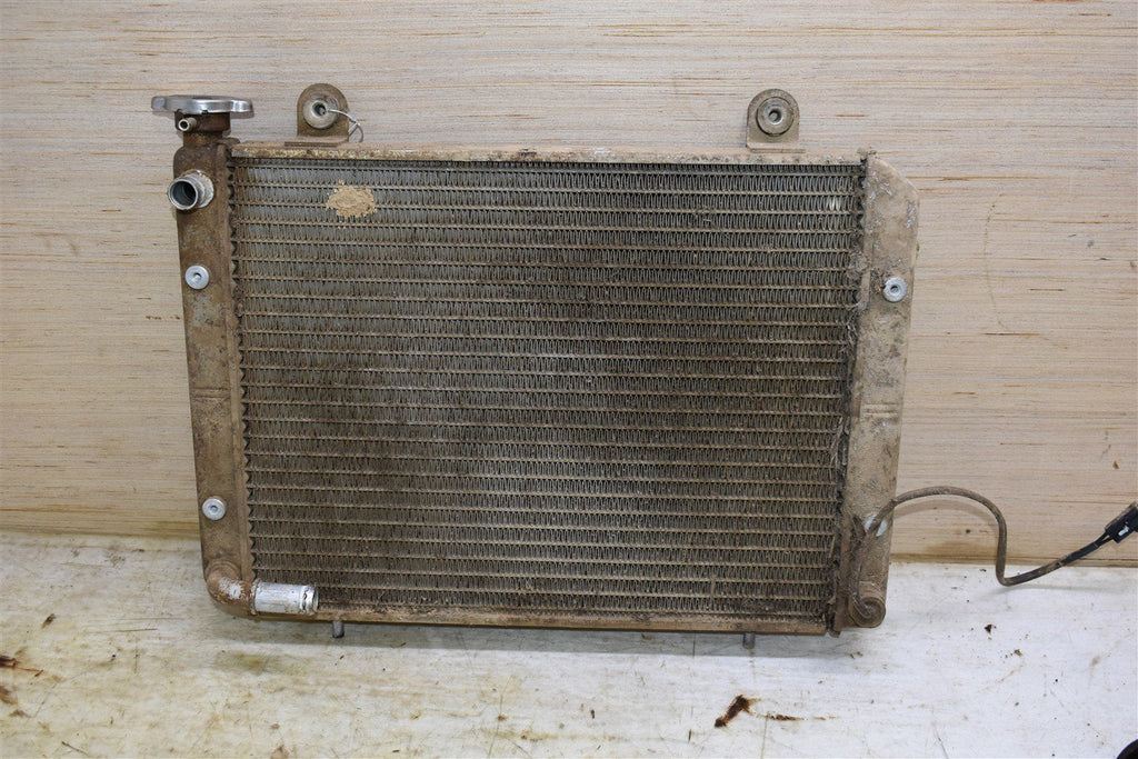 2002 Polaris Ranger 500 6x6 Radiator 1240096