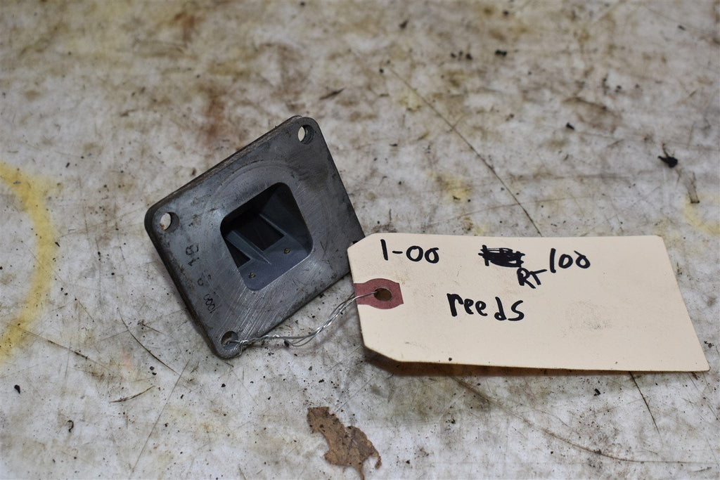 2000 Yamaha RT 100 Reeds 560-13565-00-00