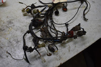 2004 Kawasaki KFX 700  Wiring Harness 26031-0011