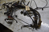 2004 Kawasaki KFX 700  Wiring Harness 26031-0011