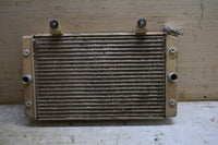 2009 Yamaha Rhino 700 Radiator 5B4-E2461-00-00