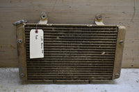 2009 Yamaha Rhino 700 Radiator 5B4-E2461-00-00