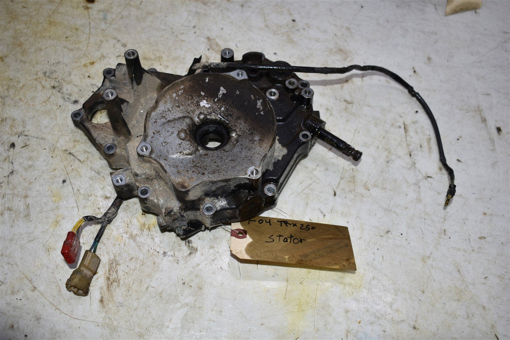 2004 Honda TRX 250 EX Stator & Cover 31120-HM8-004