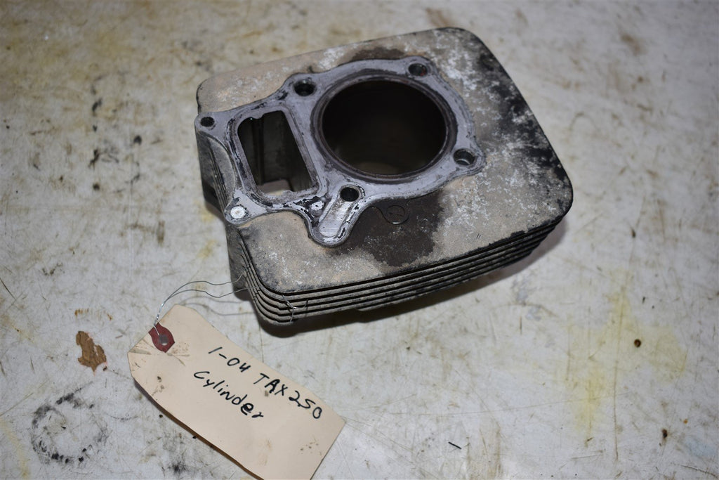 2004 Honda TRX 250 EX Cylinder 12100-HN6-000